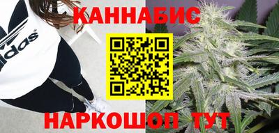 гашик Бузулук