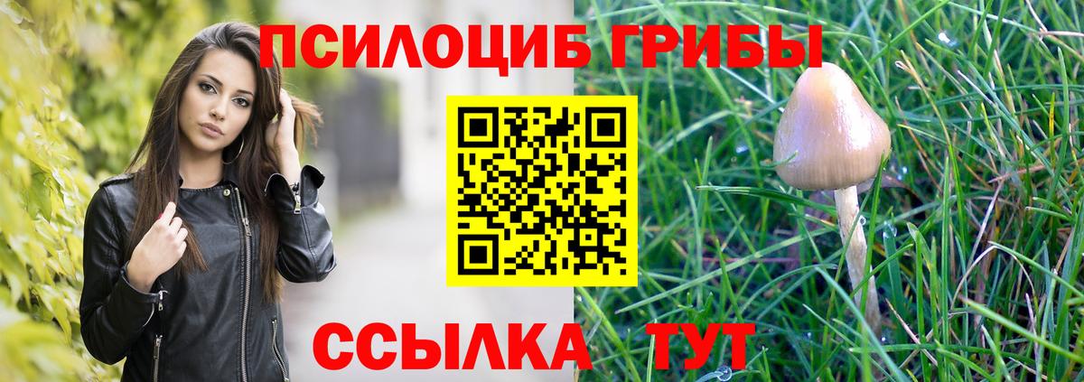 Черняховск  Галлюциногенные грибы MAGIC MUSHROOMS  купить   Вход с VPN 